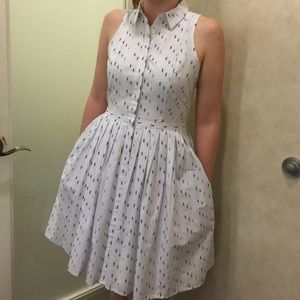 White Button Down Collared Dress by Ann Taylor